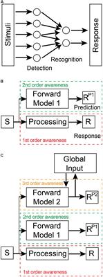 Neural Design Principles for Subjective Experience: Implications for Insects